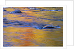 Autumn Reflections on Little White River, Elliot Lake, Ontario, Canada by Anonymous