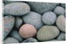 Detail of Pebbles on Long Island, Nova Scotia, Canada by Anonymous