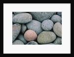Detail of Pebbles on Long Island, Nova Scotia, Canada by Anonymous