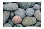 Detail of Pebbles on Long Island, Nova Scotia, Canada by Anonymous