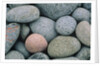 Detail of Pebbles on Long Island, Nova Scotia, Canada by Anonymous