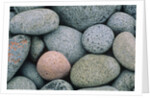 Detail of Pebbles on Long Island, Nova Scotia, Canada by Anonymous