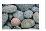 Detail of Pebbles on Long Island, Nova Scotia, Canada by Anonymous