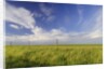 Active Prairie Sky and Farm Fenceline West of Calgary, Alberta, Canada. by Anonymous