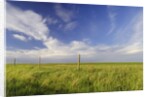 Active Prairie Sky and Farm Fenceline West of Calgary, Alberta, Canada. by Anonymous
