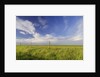 Active Prairie Sky and Farm Fenceline West of Calgary, Alberta, Canada. by Anonymous