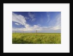 Active Prairie Sky and Farm Fenceline West of Calgary, Alberta, Canada. by Anonymous