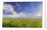 Active Prairie Sky and Farm Fenceline West of Calgary, Alberta, Canada. by Anonymous