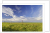 Active Prairie Sky and Farm Fenceline West of Calgary, Alberta, Canada. by Anonymous