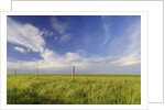 Active Prairie Sky and Farm Fenceline West of Calgary, Alberta, Canada. by Anonymous