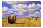 Bales and Clouds Near Sherbrooke, Saskatchewan, Canada. by Anonymous