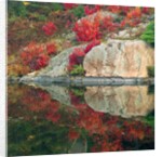 Autumn Colour Reflected in Murdock River, Sudbury, Ontario, Canada. by Anonymous