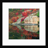 Autumn Colour Reflected in Murdock River, Sudbury, Ontario, Canada. by Anonymous