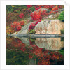 Autumn Colour Reflected in Murdock River, Sudbury, Ontario, Canada. by Anonymous