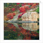Autumn Colour Reflected in Murdock River, Sudbury, Ontario, Canada. by Anonymous