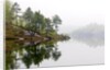 Spring Foliage on Birch Trees and Rock Outcrops Reflected in Laurentian Lake, Lake Laurentian Conservation Area, Sudbury, Ontario, Canada. by Anonymous