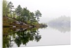 Spring Foliage on Birch Trees and Rock Outcrops Reflected in Laurentian Lake, Lake Laurentian Conservation Area, Sudbury, Ontario, Canada. by Anonymous