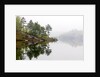 Spring Foliage on Birch Trees and Rock Outcrops Reflected in Laurentian Lake, Lake Laurentian Conservation Area, Sudbury, Ontario, Canada. by Anonymous