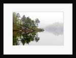 Spring Foliage on Birch Trees and Rock Outcrops Reflected in Laurentian Lake, Lake Laurentian Conservation Area, Sudbury, Ontario, Canada. by Anonymous