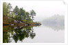 Spring Foliage on Birch Trees and Rock Outcrops Reflected in Laurentian Lake, Lake Laurentian Conservation Area, Sudbury, Ontario, Canada. by Anonymous