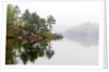 Spring Foliage on Birch Trees and Rock Outcrops Reflected in Laurentian Lake, Lake Laurentian Conservation Area, Sudbury, Ontario, Canada. by Anonymous