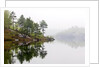 Spring Foliage on Birch Trees and Rock Outcrops Reflected in Laurentian Lake, Lake Laurentian Conservation Area, Sudbury, Ontario, Canada. by Anonymous