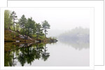 Spring Foliage on Birch Trees and Rock Outcrops Reflected in Laurentian Lake, Lake Laurentian Conservation Area, Sudbury, Ontario, Canada. by Anonymous