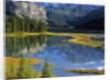 Mount Kitchener Reflected in Pond Near the Beauty Creek Hostel, Jasper National Park, Alberta, Canada by Anonymous