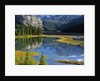Mount Kitchener Reflected in Pond Near the Beauty Creek Hostel, Jasper National Park, Alberta, Canada by Anonymous