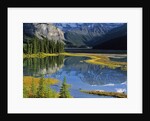 Mount Kitchener Reflected in Pond Near the Beauty Creek Hostel, Jasper National Park, Alberta, Canada by Anonymous