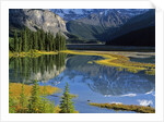 Mount Kitchener Reflected in Pond Near the Beauty Creek Hostel, Jasper National Park, Alberta, Canada by Anonymous