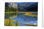 Mount Kitchener Reflected in Pond Near the Beauty Creek Hostel, Jasper National Park, Alberta, Canada by Anonymous
