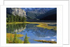 Mount Kitchener Reflected in Pond Near the Beauty Creek Hostel, Jasper National Park, Alberta, Canada by Anonymous