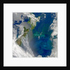 Phytoplankton Bloom in the Pacific Ocean East of New Zealand by Anonymous