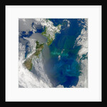 Phytoplankton Bloom in the Pacific Ocean East of New Zealand by Anonymous