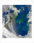 Phytoplankton Bloom in the Pacific Ocean East of New Zealand by Anonymous