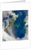 Phytoplankton Bloom in the Pacific Ocean East of New Zealand by Anonymous