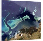 Coral Reefs off of Viti Levu, Fiji by Anonymous