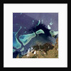 Coral Reefs off of Viti Levu, Fiji by Anonymous