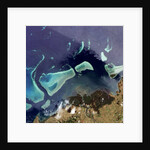 Coral Reefs off of Viti Levu, Fiji by Anonymous