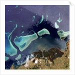 Coral Reefs off of Viti Levu, Fiji by Anonymous