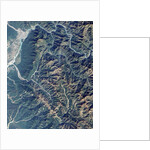 Rajaji National Park Along the Ganges River in India by Anonymous