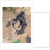 The Lava Flows of Craters of the Moon National Monument in Idaho by Anonymous