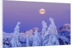 Moonset at Sunrise, Winter, Mount Seymour Provincial Park, North Vancouver, British Columbia by Anonymous