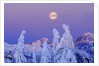 Moonset at Sunrise, Winter, Mount Seymour Provincial Park, North Vancouver, British Columbia by Anonymous