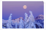 Moonset at Sunrise, Winter, Mount Seymour Provincial Park, North Vancouver, British Columbia by Anonymous