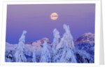 Moonset at Sunrise, Winter, Mount Seymour Provincial Park, North Vancouver, British Columbia by Anonymous