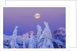 Moonset at Sunrise, Winter, Mount Seymour Provincial Park, North Vancouver, British Columbia by Anonymous