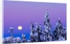 Moonset. From Grouse Mountain, Vancouver, British Columbia, Canada. by Anonymous