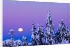 Moonset. From Grouse Mountain, Vancouver, British Columbia, Canada. by Anonymous